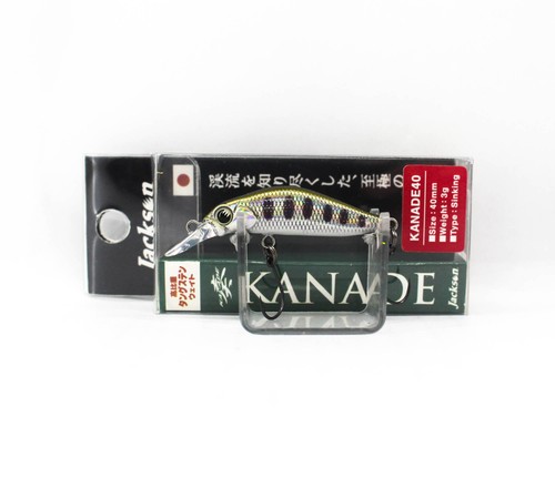 Jackson kanade trota - kanade, mm